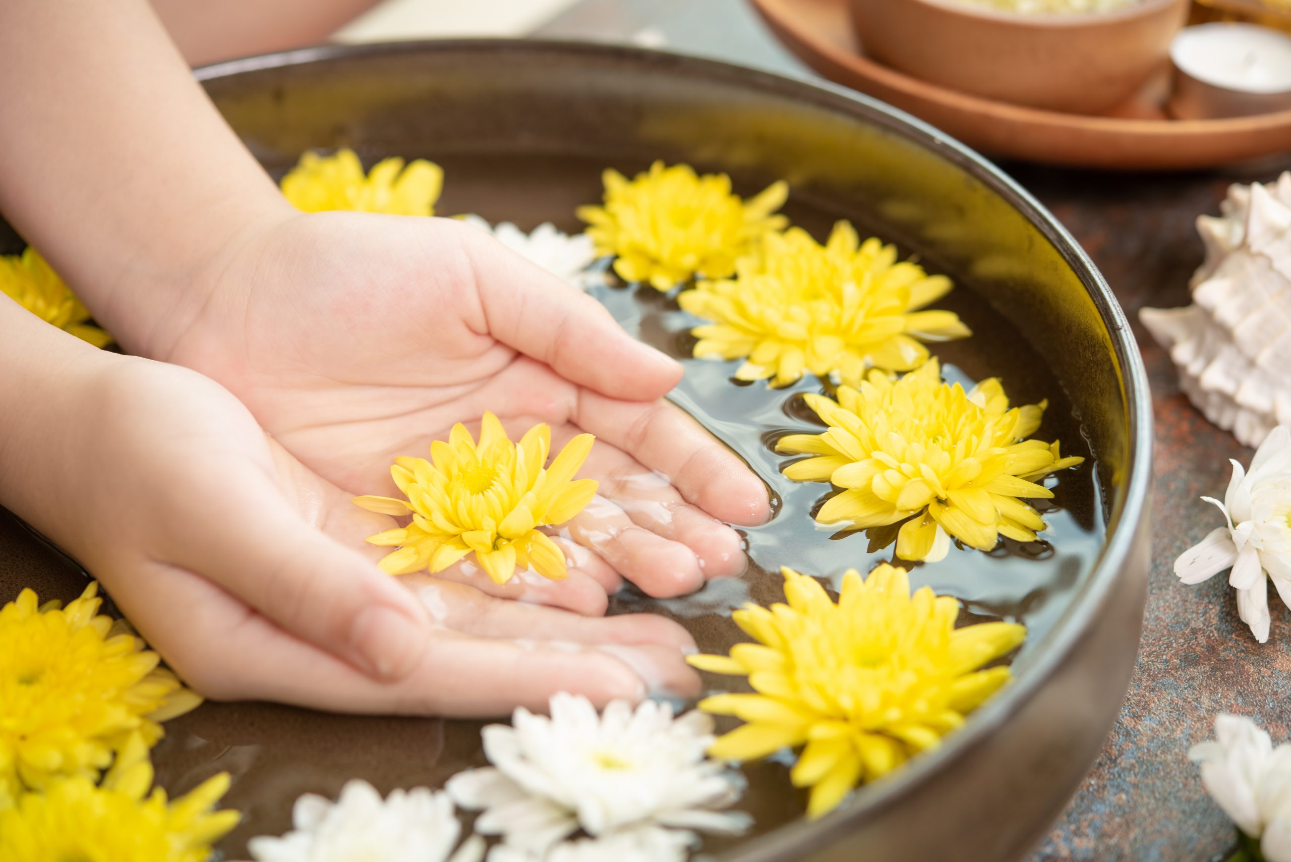 Female hands and bowl of spa water with flowers, close up. Hands Spa.Manicure concept.